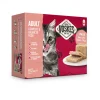 Paté Adult Heek met Zalm & Erwtjes 8 x 85 gr Kattenvoer