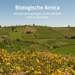 Huidverzorging<WELEDA Arnica Sport Massageolie 100 ml