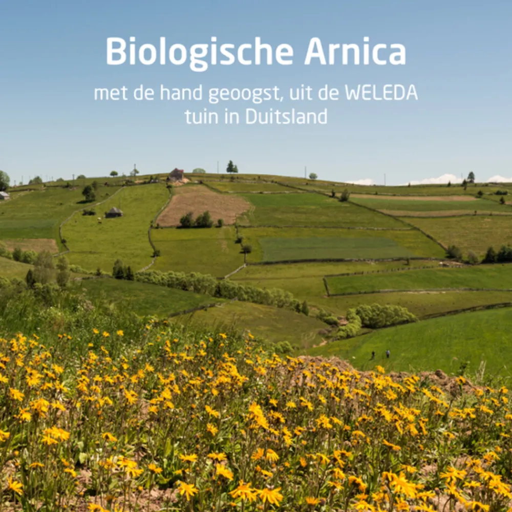 Huidverzorging<WELEDA Arnica Sport Massageolie 100 ml