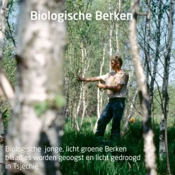 Huidverzorging<WELEDA Berken Anti Cellulite Olie 100 ml