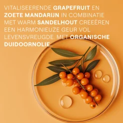Duindoorn Vitality Douchecrème 200 ml^WELEDA Sale