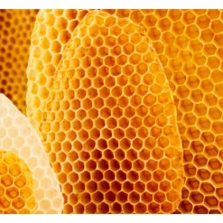 Gezichtscrème Coldcream 30 ml^WELEDA Discount