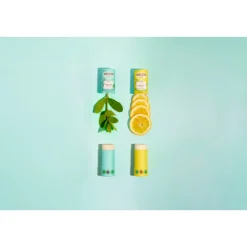 24H Deodorant Stick Eucalyptus & Peppermint 50 gr^WELEDA Outlet