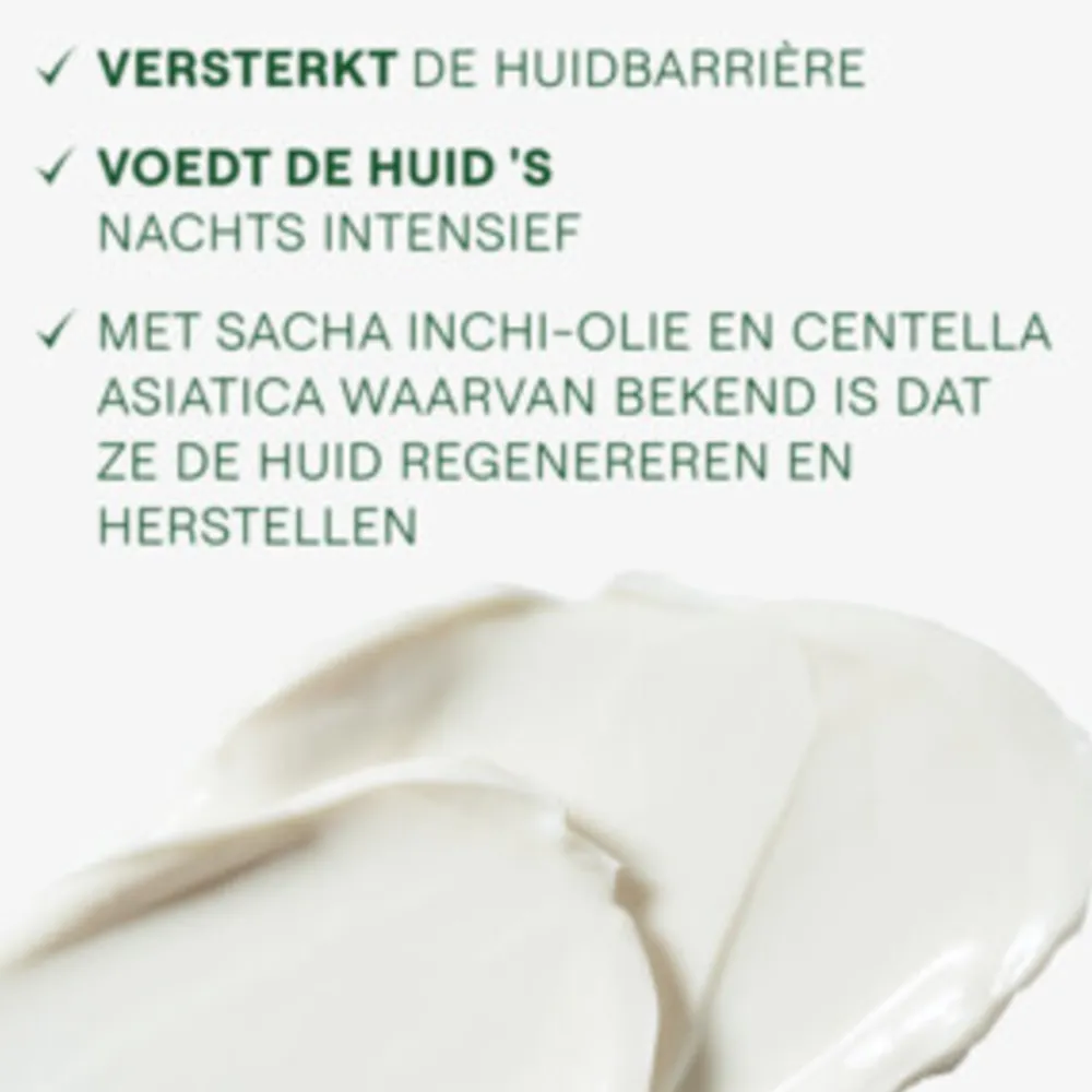 Skin Food Voedende Nachtcrème 40 ml^WELEDA Online