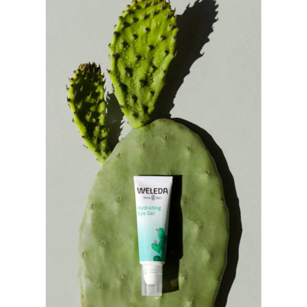 Sale Vijgencactus Hydraterende Ooggel 10 ml Oogcrème