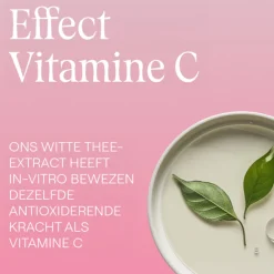 Dag- & Nachtcrème<WELEDA Wilde Rozen & Witte Thee Vitaliserende Nachtcrème 40 ml