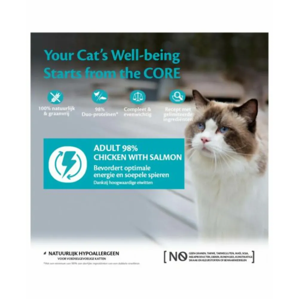 Kattenvoer<Wellness Core Kattenvoer 98% Recipe Kip - Zalm 85 gr