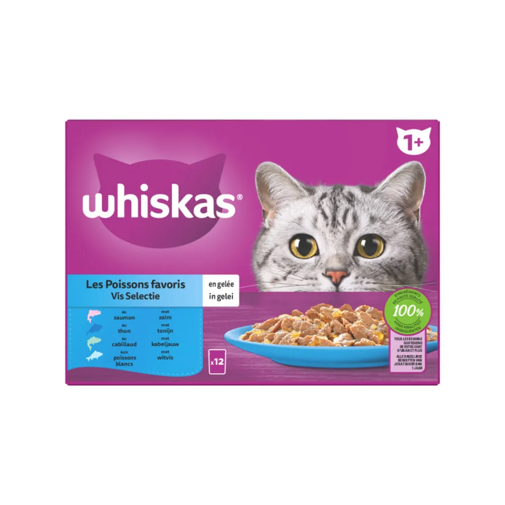 Kattenvoer<Whiskas 1+ Vis Selectie in Gelei Maaltijdzakjes Multipack 12 x 85 gr