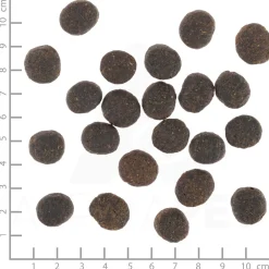 Hondenvoer<Wolfsblut VetLine Joint Care 2 kg