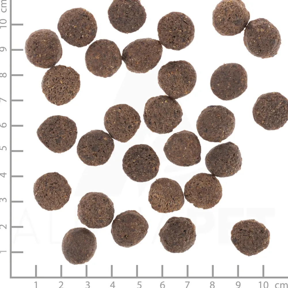 Hondenvoer<Wolfsblut VetLine Renal 2 kg