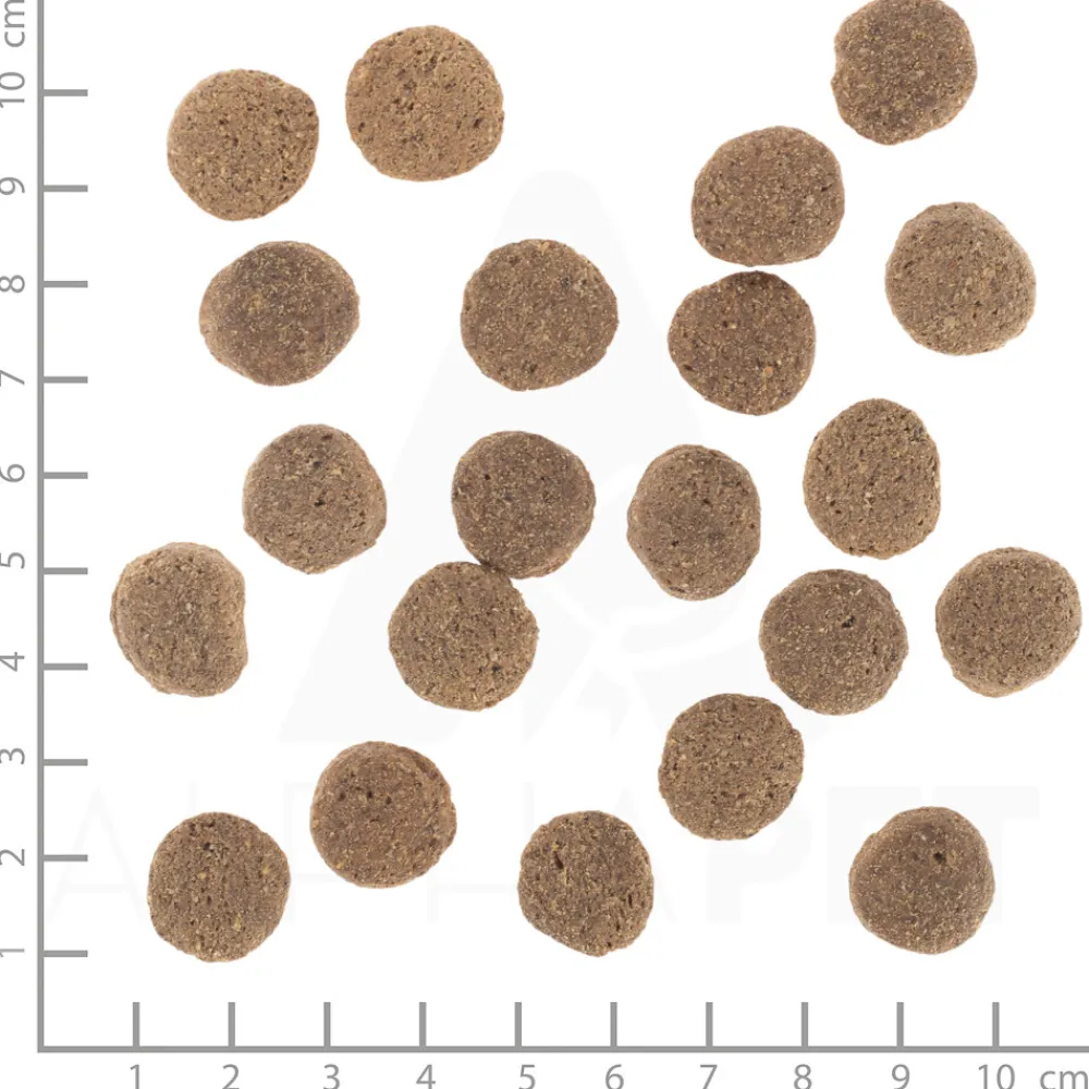 Clearance VetLine Weight Management 2 kg Hondenvoer