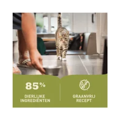 Kattenvoer<Acana 24x Premium Kattenvoer Pâté Chicken 85 gr