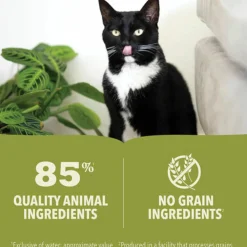 24x Premium Kattenvoer Pâté Salmon & Chicken 85 gr^Acana Sale