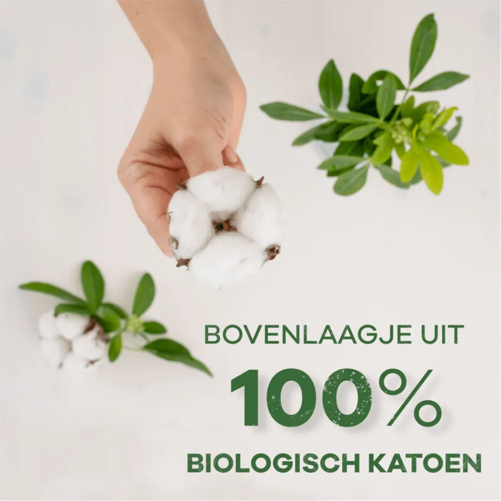 Intiemhygiëne<Always 10x Dailies Inlegkruisjes Cotton Protection Normal 38 stuks
