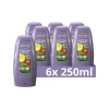 Conditioner<Andrélon 6x Conditioner Aloe Vera Repair 250 ml