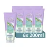 Shampoo<Andrélon 6x Shampoo Scrub Kokos Volume Boost 200 ml