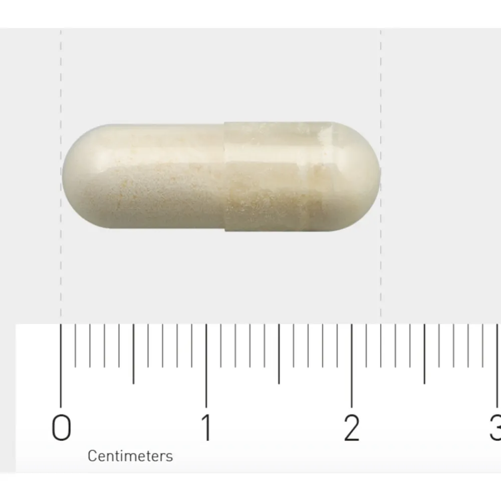 Speciale Bestanddelen<AOV 2x 1132 Lactase 60 vegacapsules