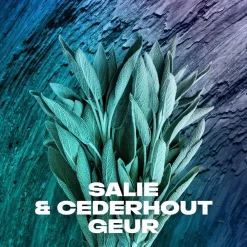 6x Deodorant Bodyspray Apollo 150 ml^Axe New