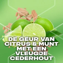 Bad & Douche<Axe 6x 3-in-1 Douchegel Green Mojito & Cedarwood 250 ml