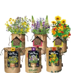 Kweken En Zaden<Baza 3x Wildbloemen met Bijenhotel Pakket
