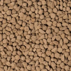 Droogvoer & Zaden<Beaphar 4x Care+ Konijn Adult 1,5 kg