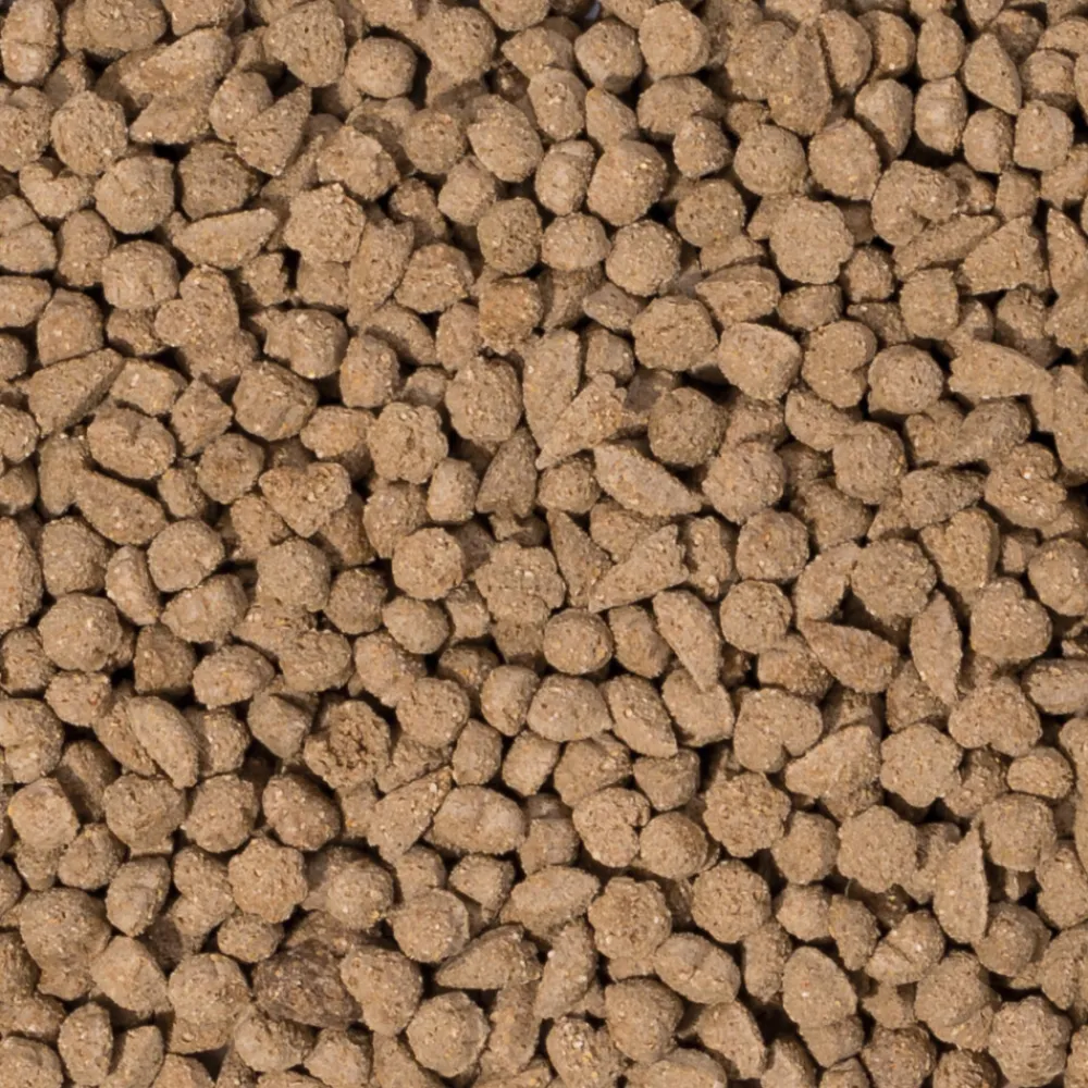 Droogvoer & Zaden<Beaphar 4x Care+ Konijn Adult 1,5 kg