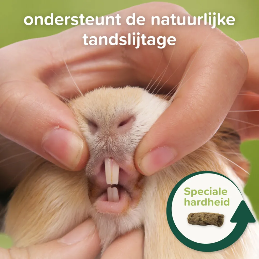 Discount 4x Care+ Nature Cavia 1,5 kg Droogvoer & Zaden