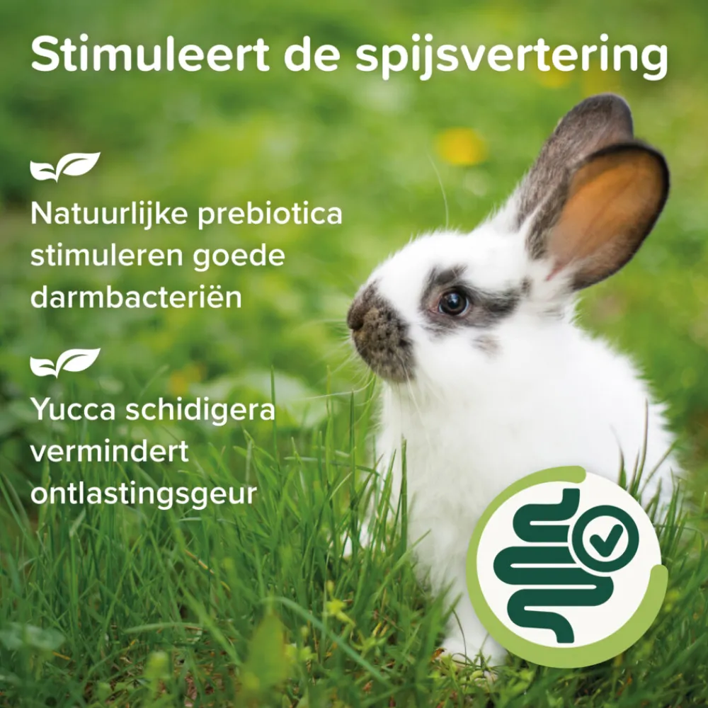 Droogvoer & Zaden<Beaphar 4x Care+ Nature Konijn 1,5 kg