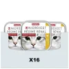 Kattenvoer<Beaphar 16x Nierdieet Kattenvoer Nat Kip 100 gr