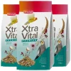 Clearance 3x XtraVital Grote Parkiet 1 kg Droogvoer & Zaden