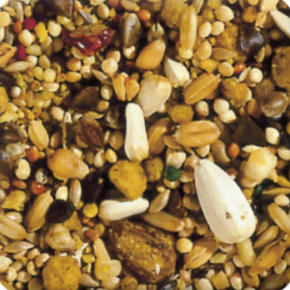 Sale 5x XtraVital Grote Parkiet 1 kg Droogvoer & Zaden