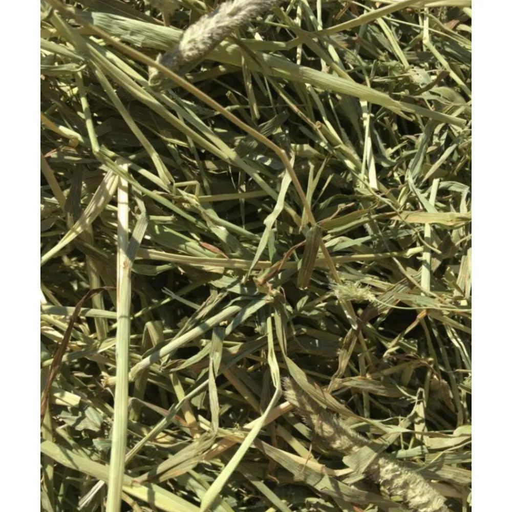 Droogvoer & Zaden<Bunny Nature 3x Timothy Hooi 700 gr