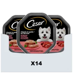 Hondenvoer<Cesar 14x Classic Paté Kalf - Gevogelte 150 gr