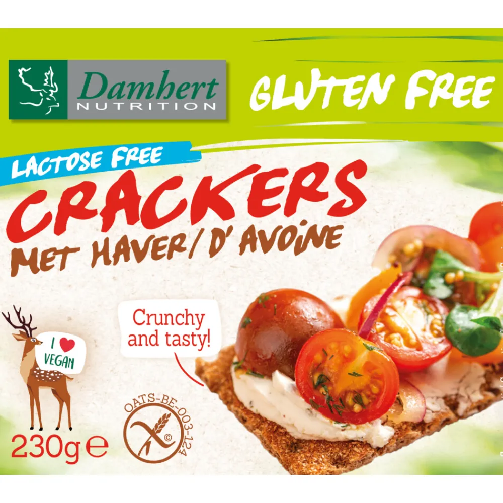 3x Crackers Haver Glutenvrij Lactosevrij 230 gr^Damhert Outlet