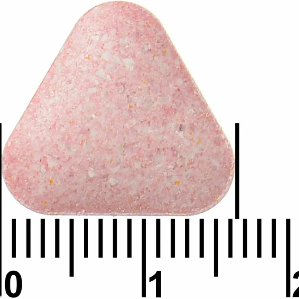 Discount 2x Compleet Weerstand Bosvruchten 60 kauwtabletten Multi Vitaminen En Mineralen