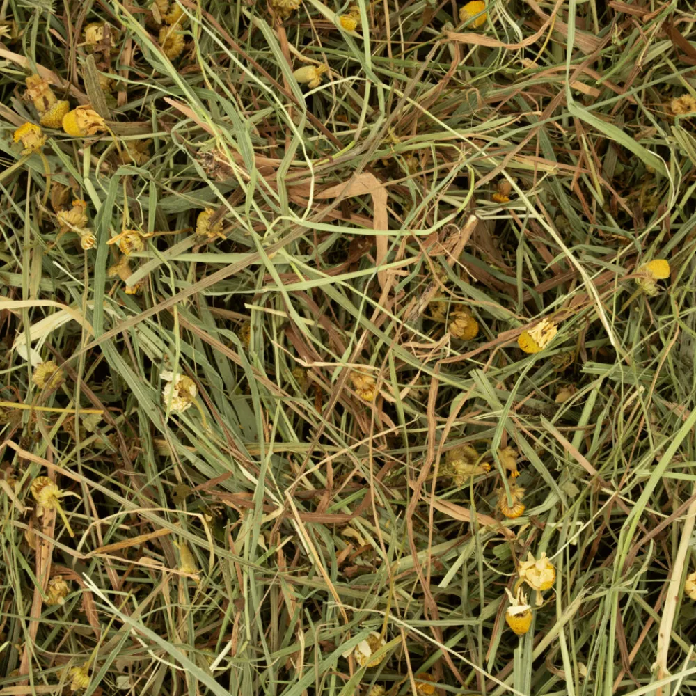 6x Rodelicious Kruidenhooi Madelief & Paardenbloem 600gr^Deli Nature Best