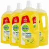 4x Allesreiniger Citroen 2 liter^Dettol Best