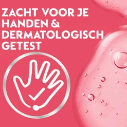 Best 6x Foam Handzeep Rozen & Kers 250 ml Keukenartikelen|Handverzorging