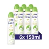 6x Deodorant Spray Advanced Care Cucumber & Green Tea 150 ml^Dove Hot