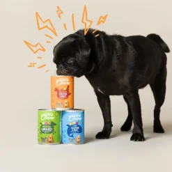 6x Blik Vers Vlees Hondenvoer Wild - Eend 400 gr^Edgard & Cooper