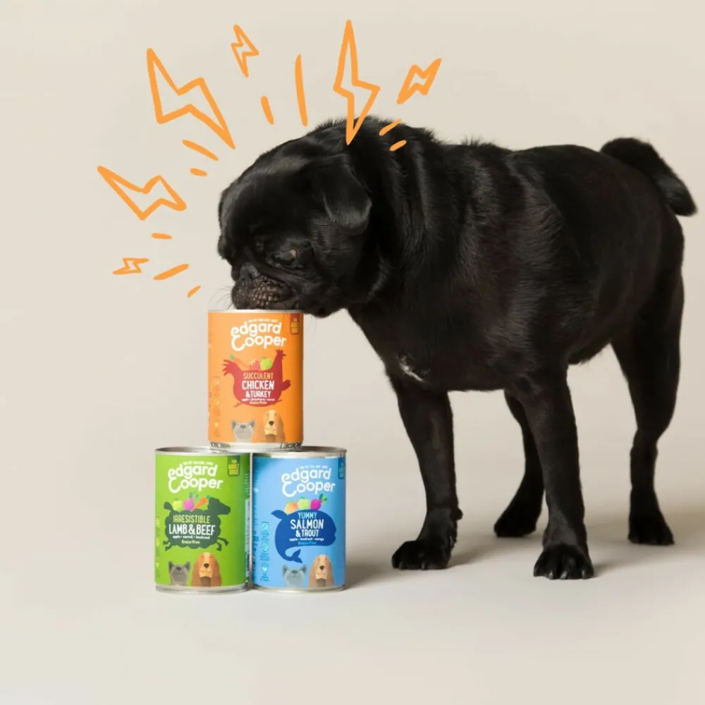 6x Blik Vers Vlees Hondenvoer Wild - Eend 400 gr^Edgard & Cooper