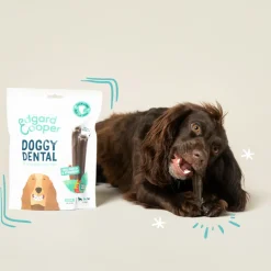 Snacks<Edgard & Cooper 4x Doggy Dental Sticks Medium Appel - Eucalyptusolie