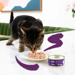 24x Kattenvoer Fillets Tonijn - Garnaal 70 gr^Edgard & Cooper Discount