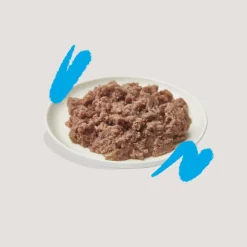 16x Kattenvoer Adult Pate Zalm - Kip 85 gr^Edgard & Cooper New