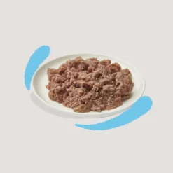 Discount 16x Kattenvoer Kitten Pate Kabeljauw - Kip 85 gr Kattenvoer