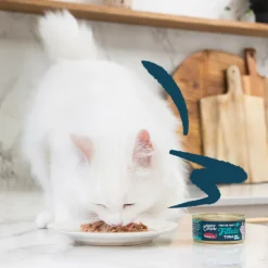 Discount 24x Kattenvoer Fillets Tonijn - Inktvis 70 gr Kattenvoer