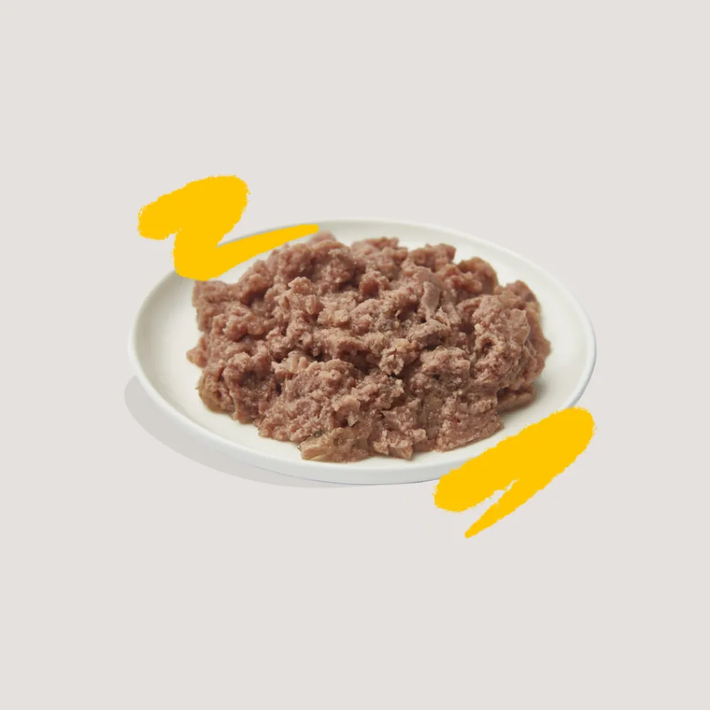 Online 16x Kattenvoer Adult Pate Biologische Kalkoen 85 gr Kattenvoer