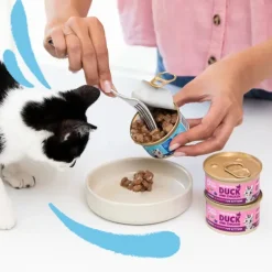 18x Kattenvoer Kitten Chunks Eend - Kip 85 gr^Edgard & Cooper New