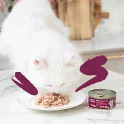 24x Kattenvoer Fillets Tonijn - Kip 70 gr^Edgard & Cooper Discount