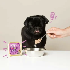 Hondenvoer<Edgard & Cooper 11x Kuipje Vers Vlees Hondenvoer Wild - Eend 150 gr